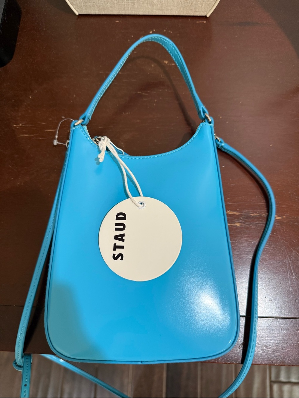 STAUD Mini Alec Bag in Pacific
